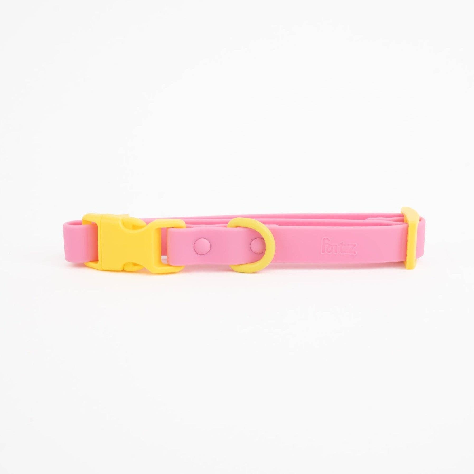 The Fritz Dog Collar 