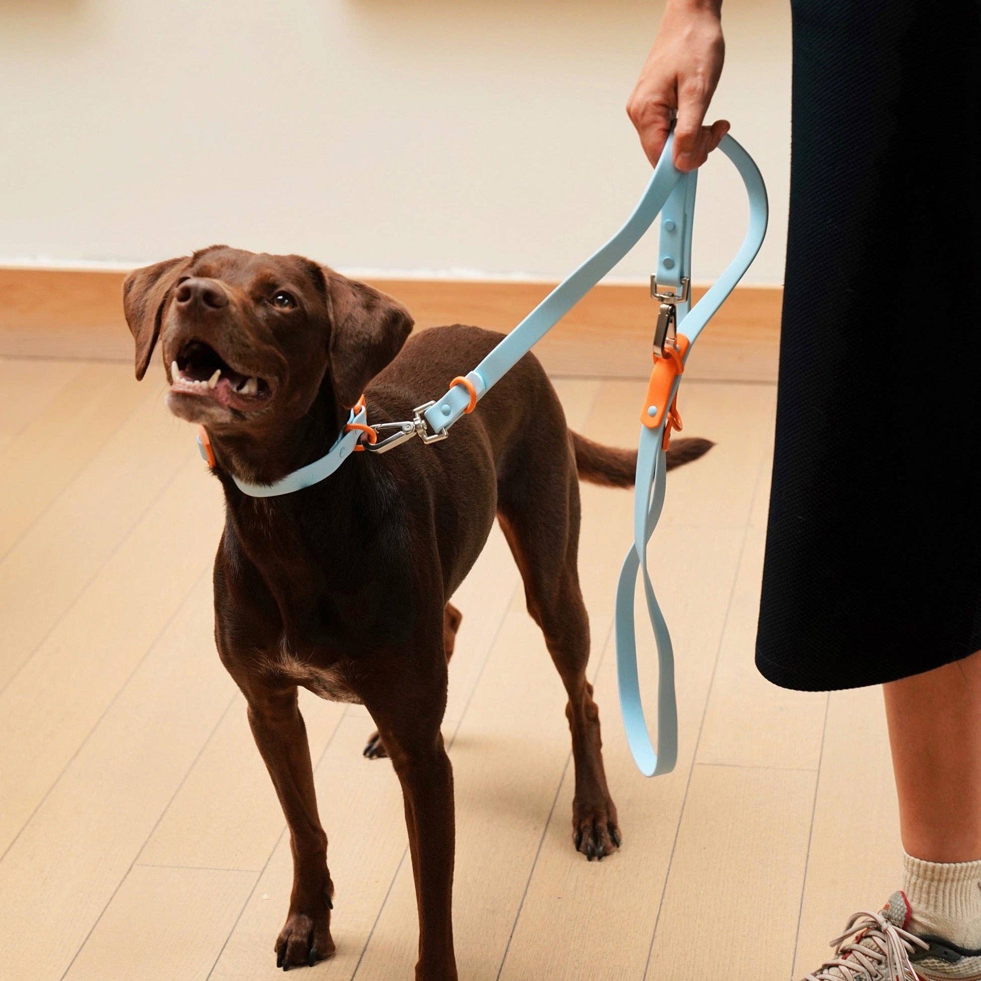 The Fritz Dog Leash | Leash wit Handle | Multi Dog Leash