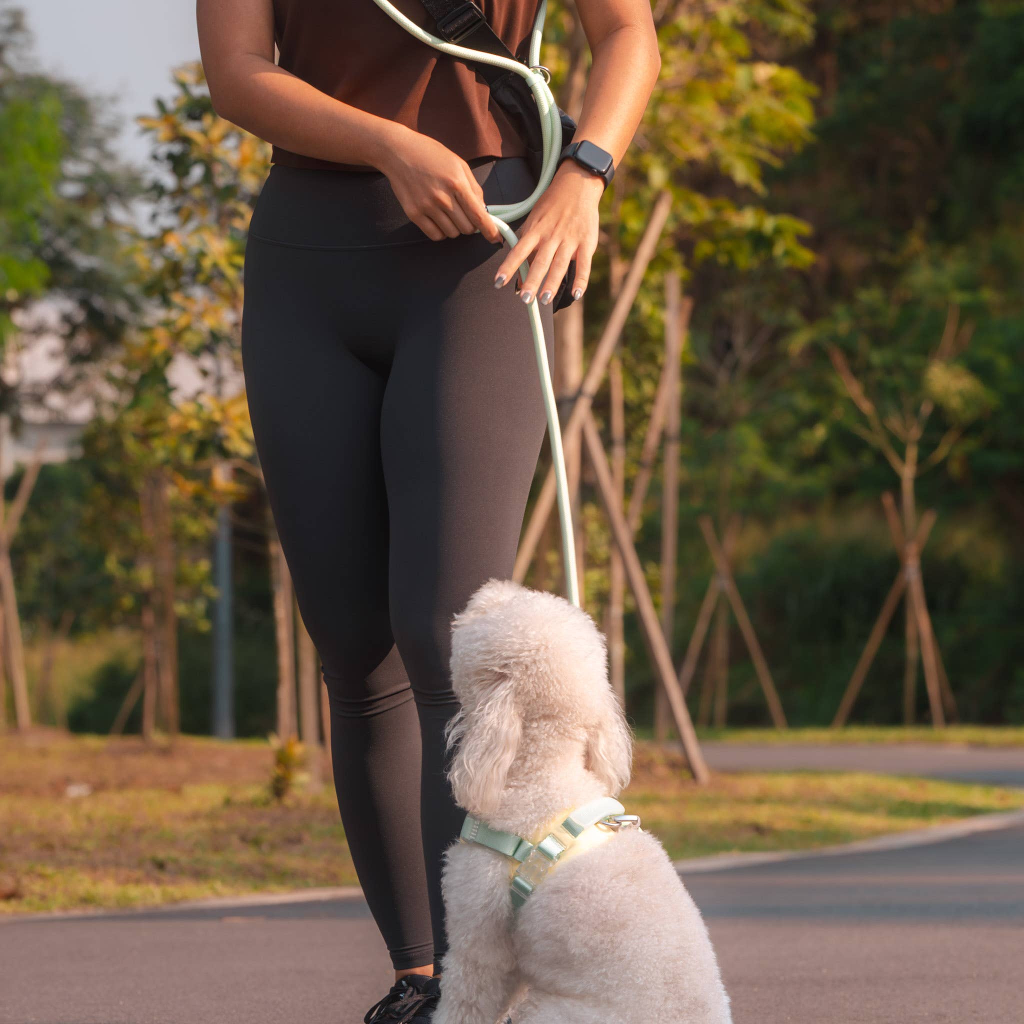 Rover Rope Leash | Matched To Jelly Harness