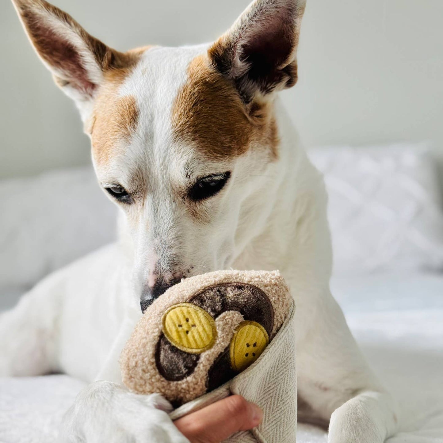 CREPE // ENRICHMENT DOG TOY // SNUFFLE TOY