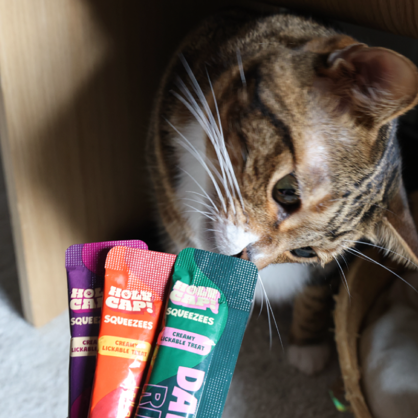 HOLY CAP Squeezees (CAT) Calm & Chill Lickable Treats, 5pc
