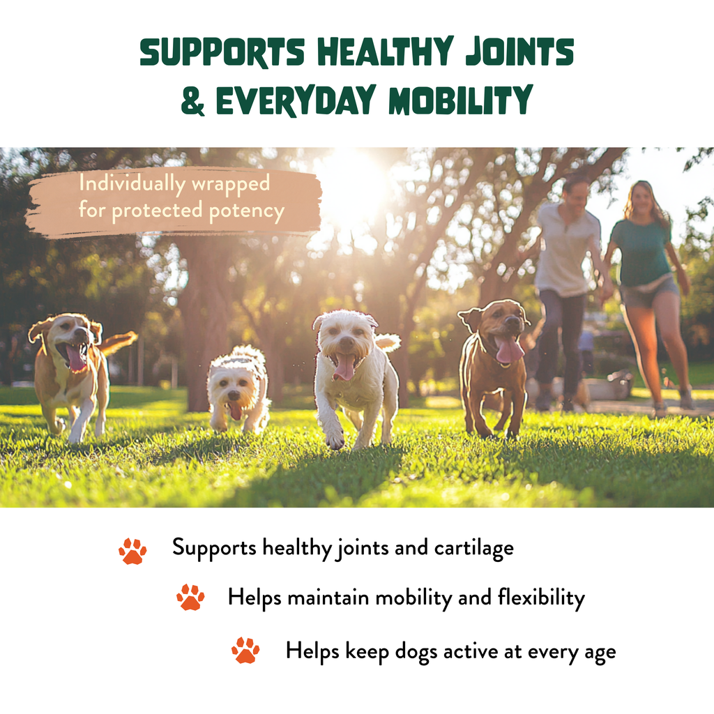 Hip & Joint Soft Chews for Dogs - Glucosamine, MSM, Chondroitin