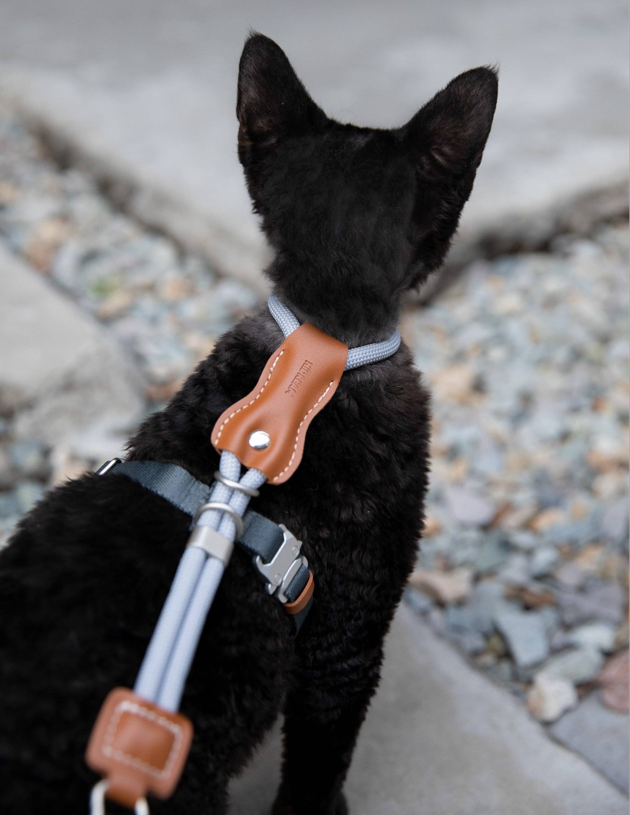 Escape Proof H-Shape Cat Harness and Leash Set Adjustable Ultra Lightweight Rope Walking Harness for Cats up to 17 lbs
