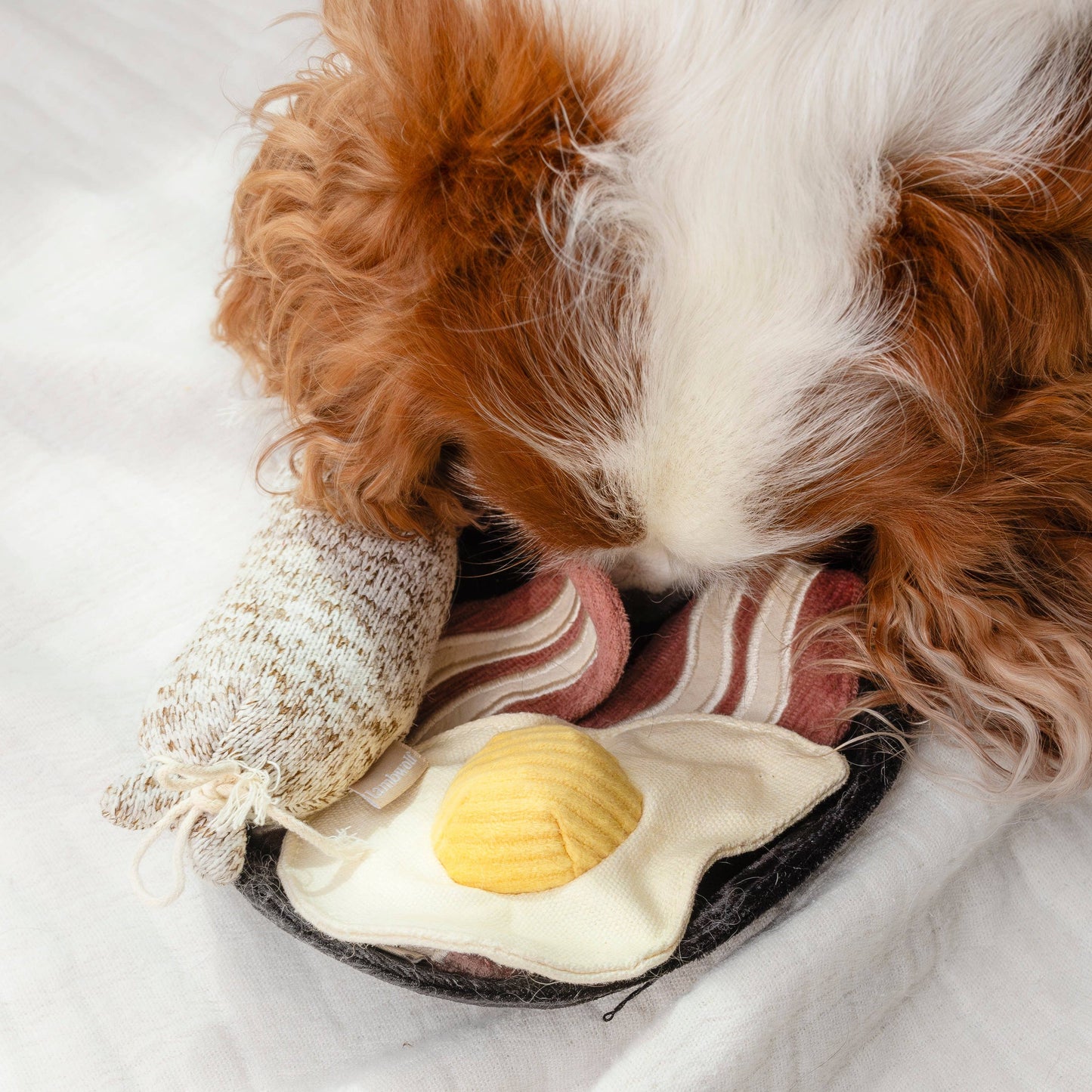 Bfast Set // ENRICHMENT DOG TOY // SNUFFLE TOY SET