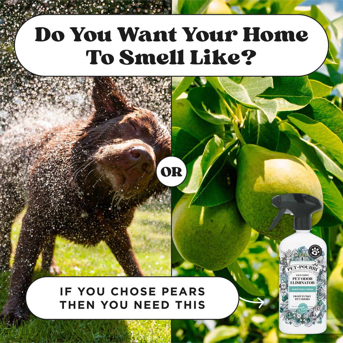 Pet~Pourri Pawsitively Fresh Air+Fabric Odor Refresher 16oz
