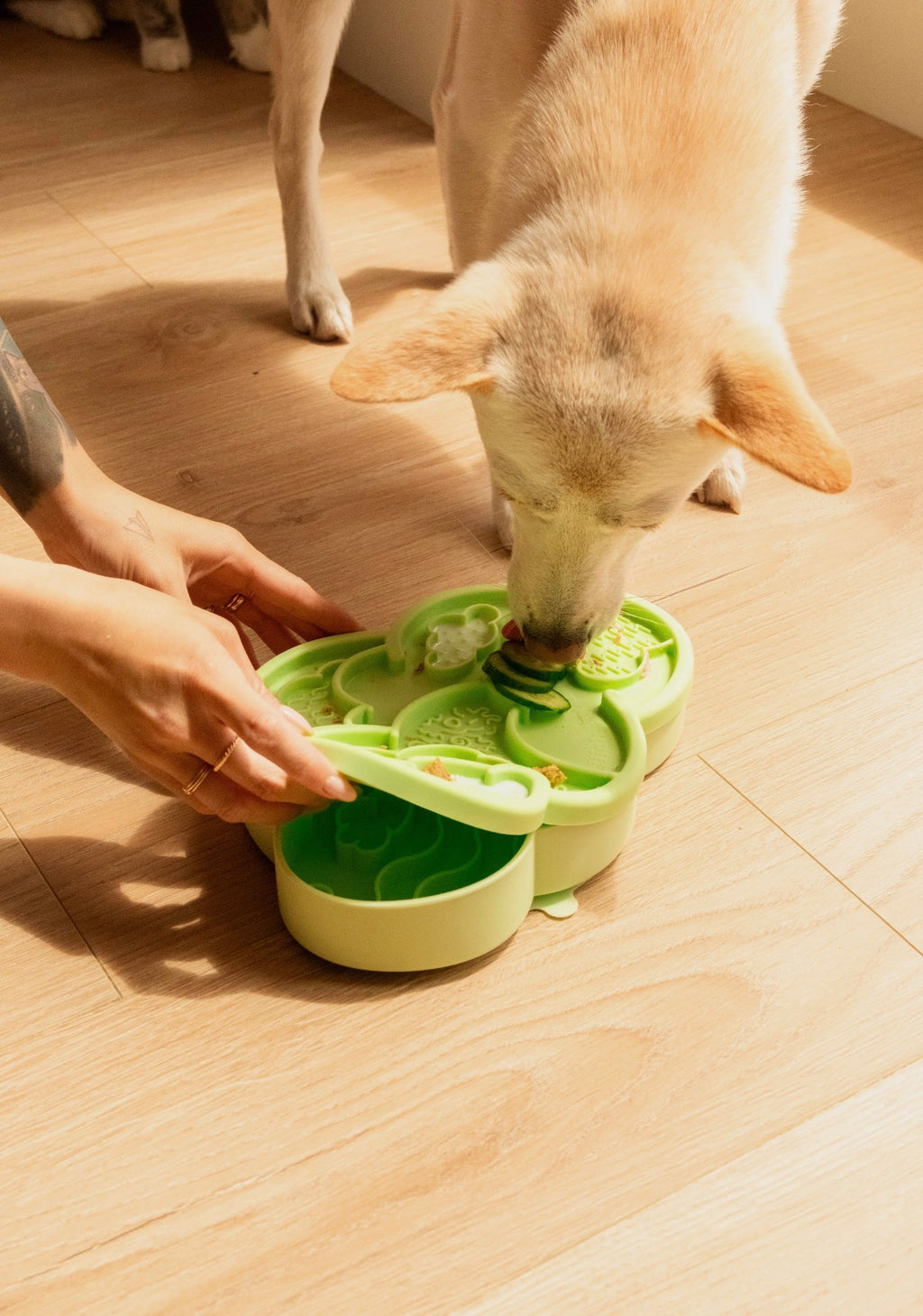 Ollie B Good Cloud Nine Lick Mat & Lid (preorder)