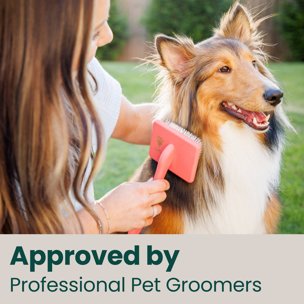 Pet Slicker Brush for Dogs and Cats, Curved Coral Medium