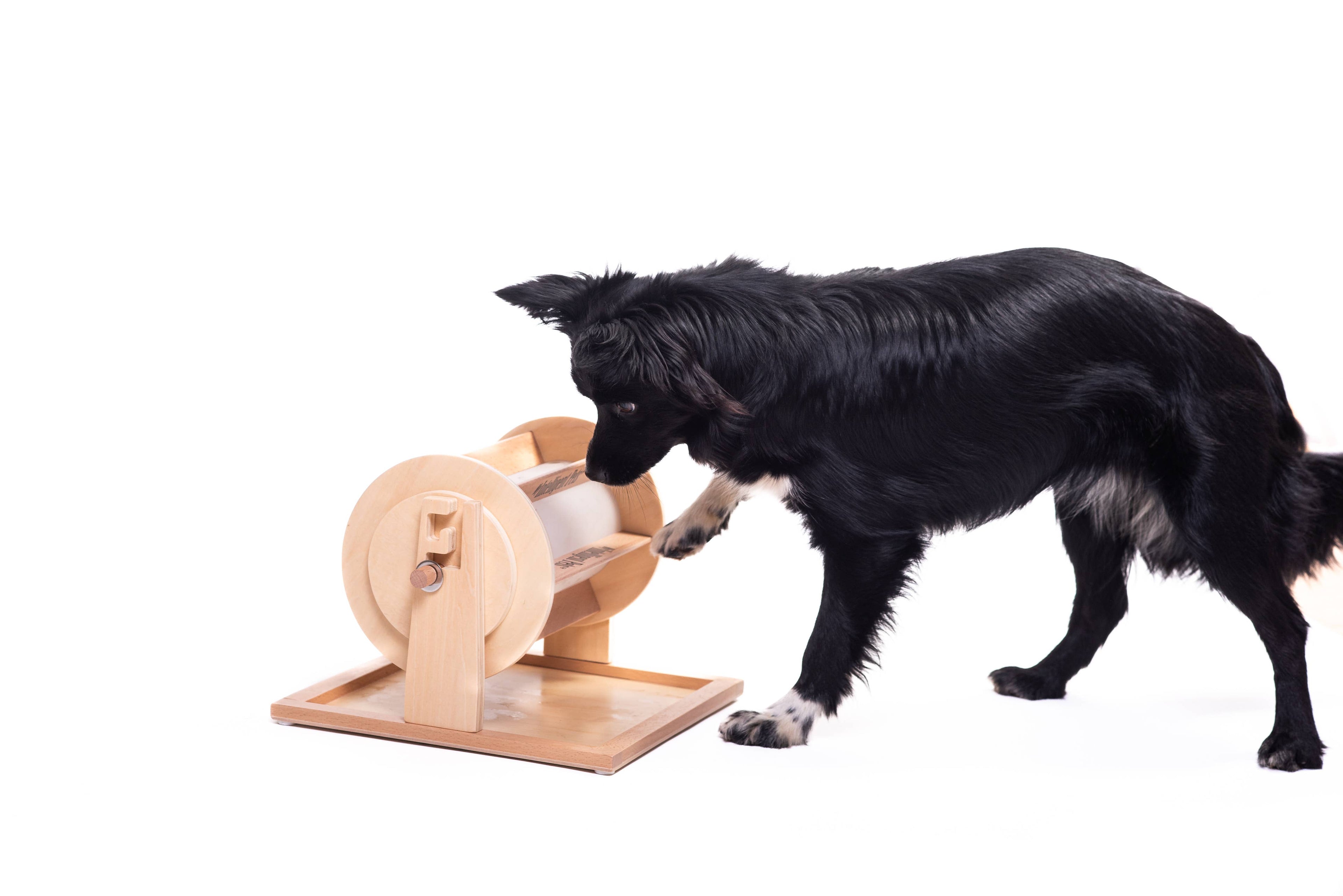 Wheel of Fortune - Pet Toy of the Year - pet treat dispenser