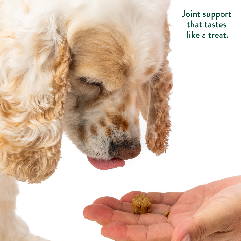 Hip & Joint Soft Chews for Dogs - Glucosamine, MSM, Chondroitin