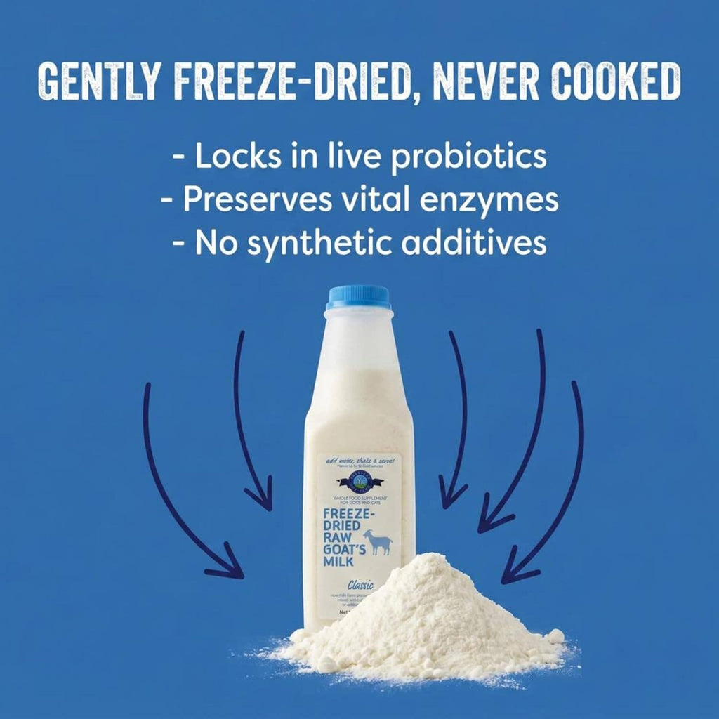 Freeze-Dried Raw Goat Milk- Golden Blend