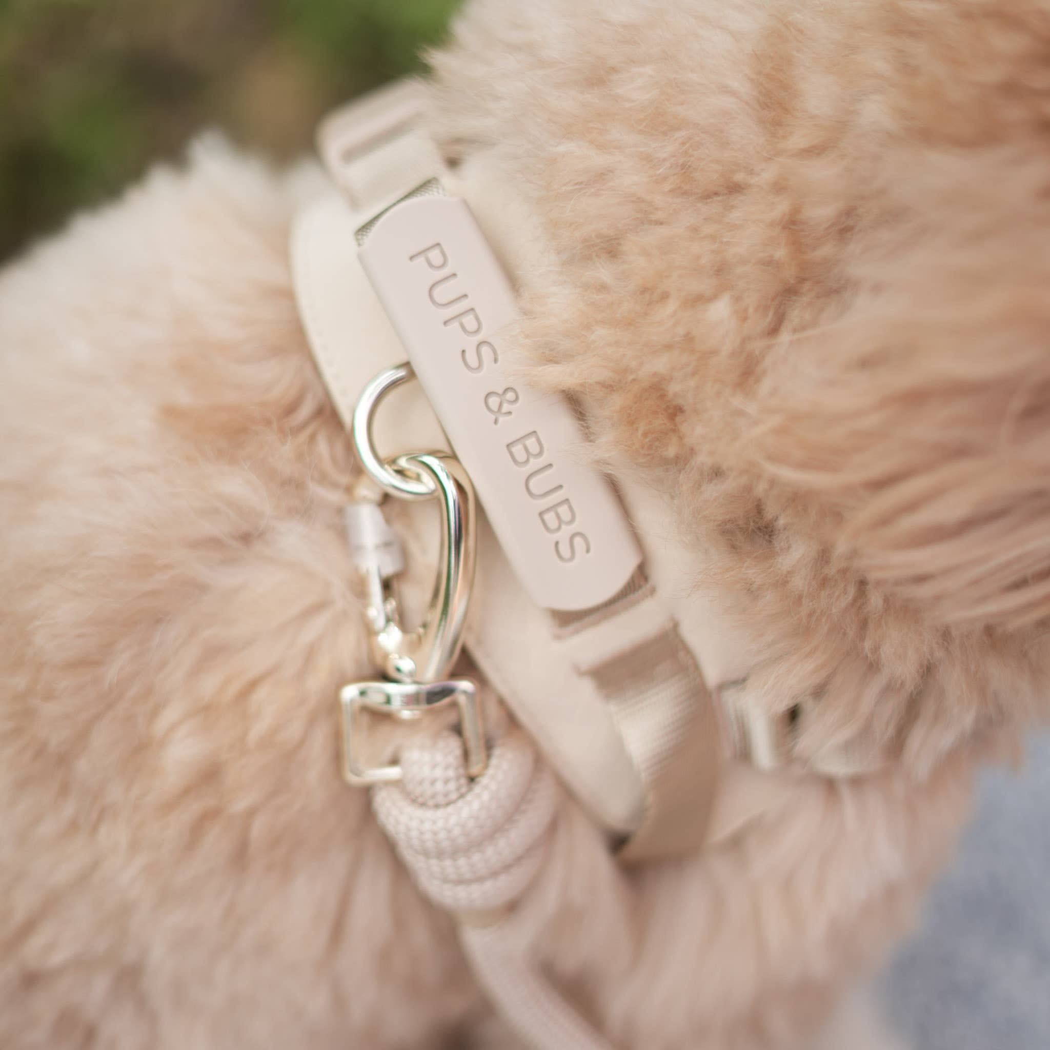 Rover Harness | Ultra Comfort Fabric