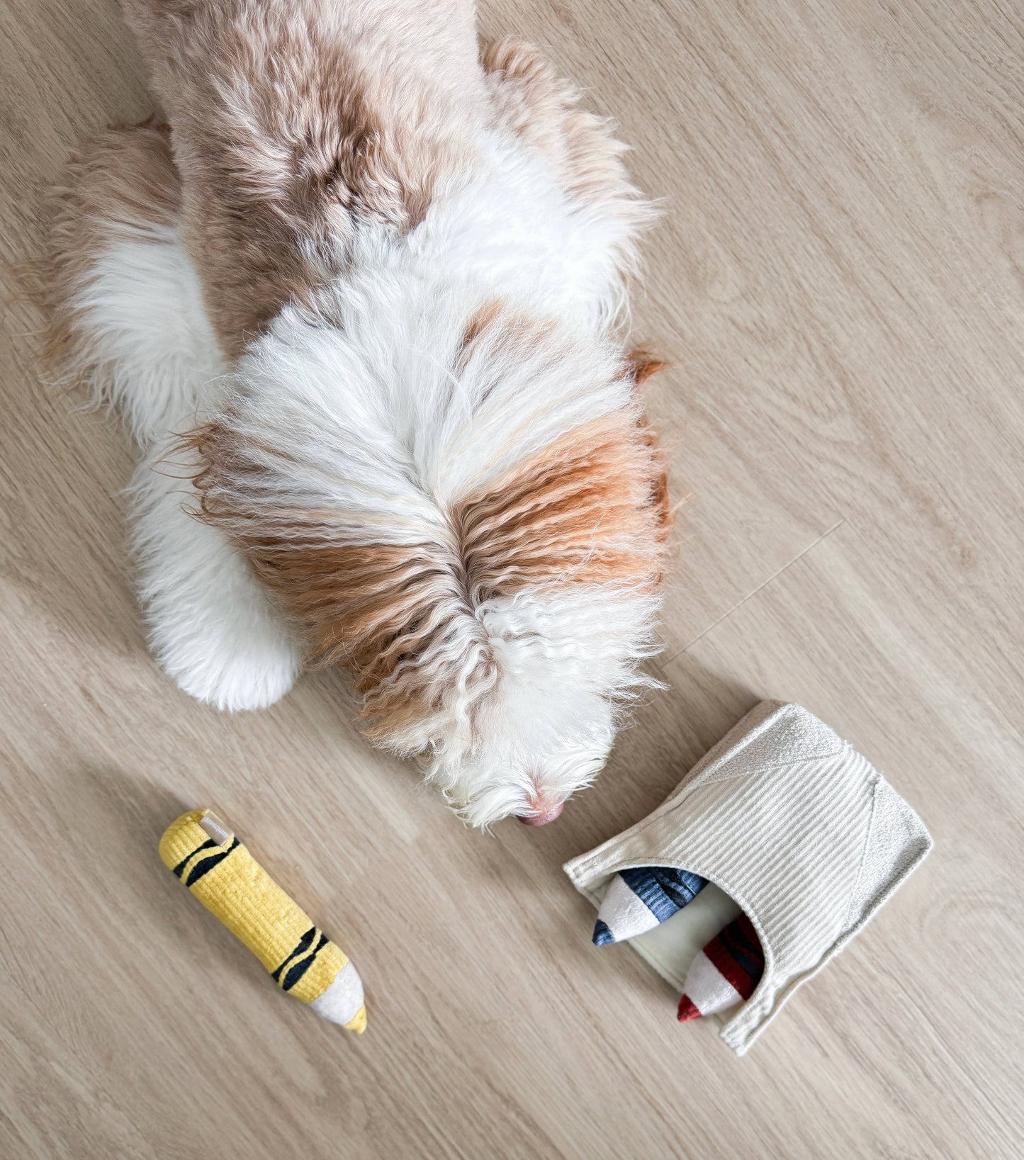 CRAYONS // ENRICHMENT DOG TOY // Squeaky + Snuffle Set