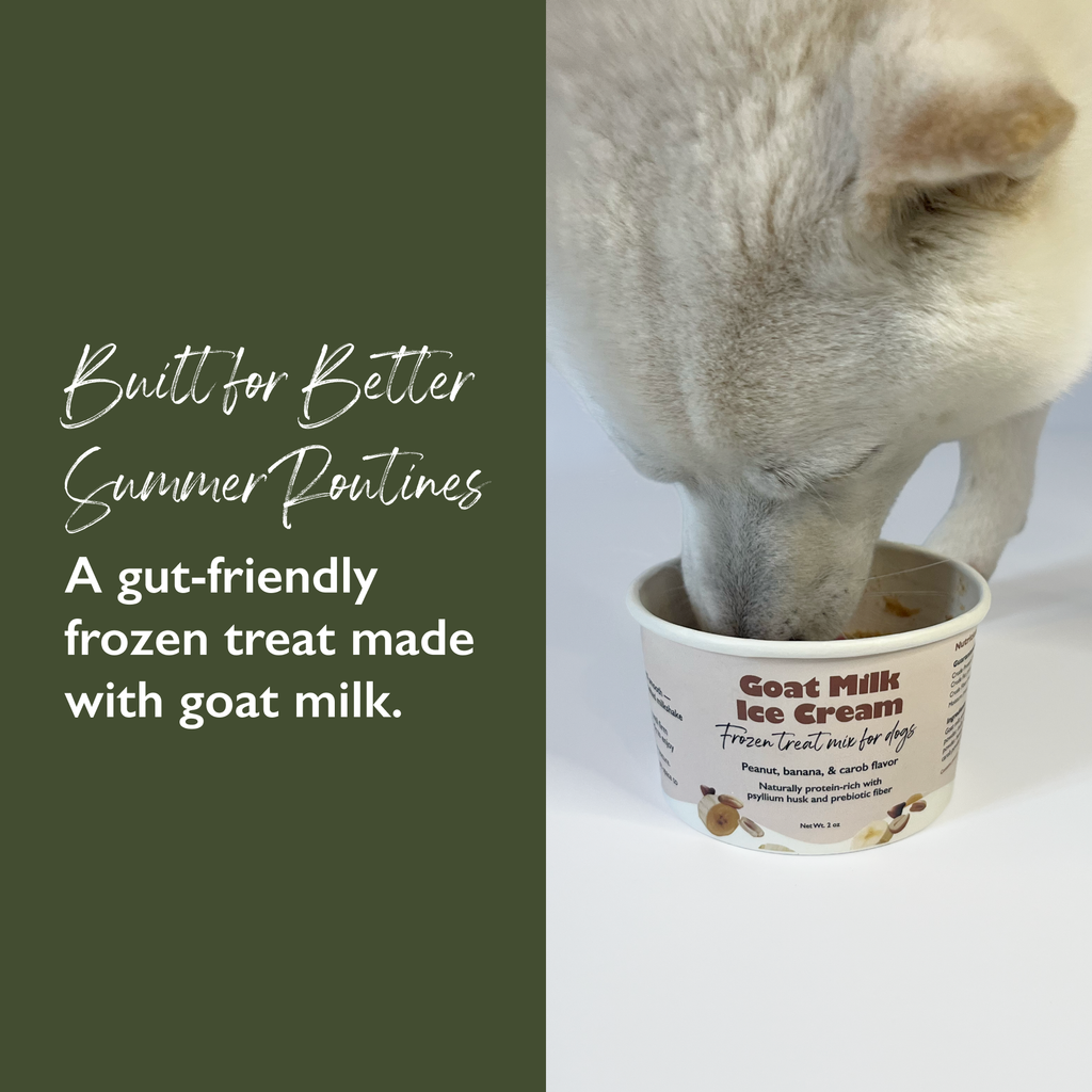 Gut-Friendly Goat Milk Dog Ice Cream Mix | DIY Frozen Treat