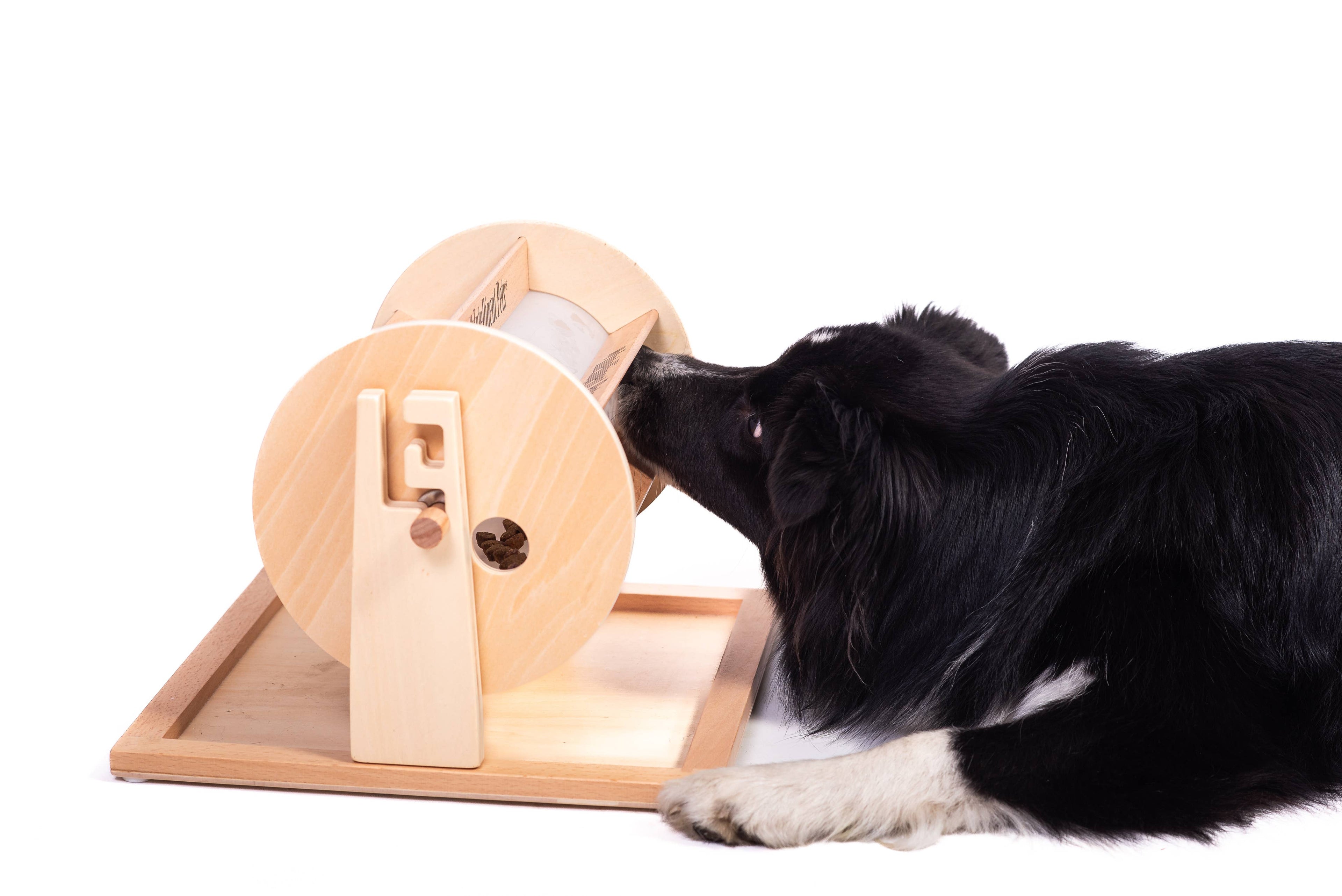 Wheel of Fortune - Pet Toy of the Year - pet treat dispenser
