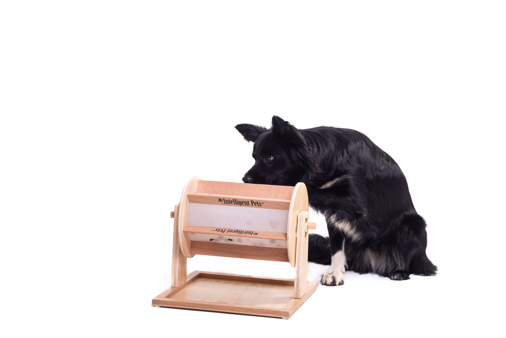 Wheel of Fortune - Pet Toy of the Year - pet treat dispenser