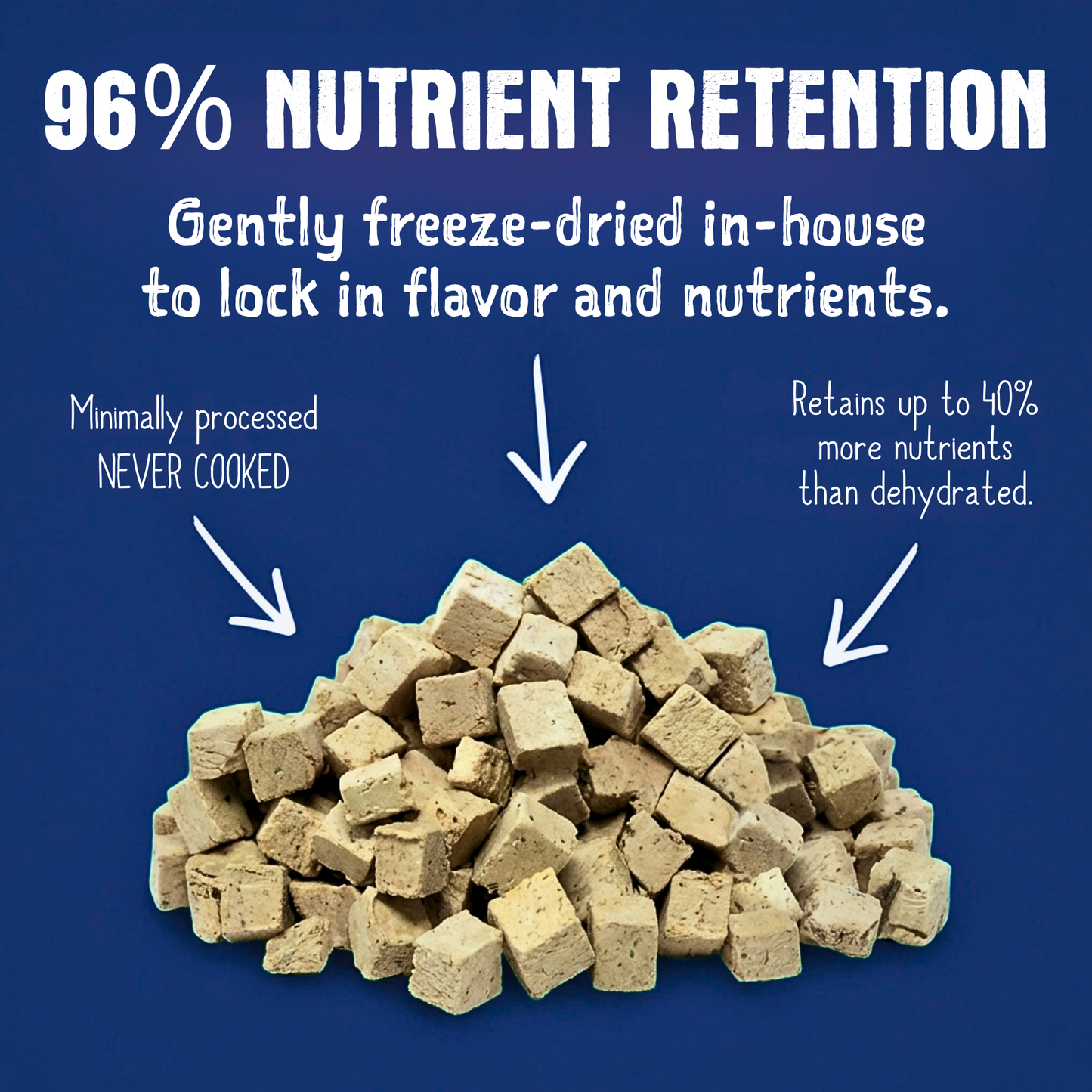 Freeze Dried Beef Recipe for Dogs