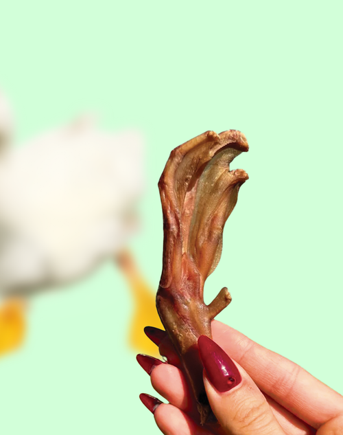 Duck Feet