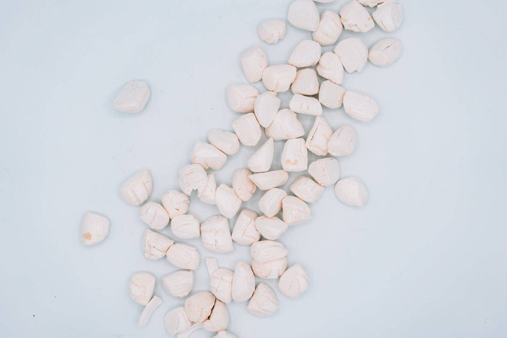 Freeze-Dried Scallops