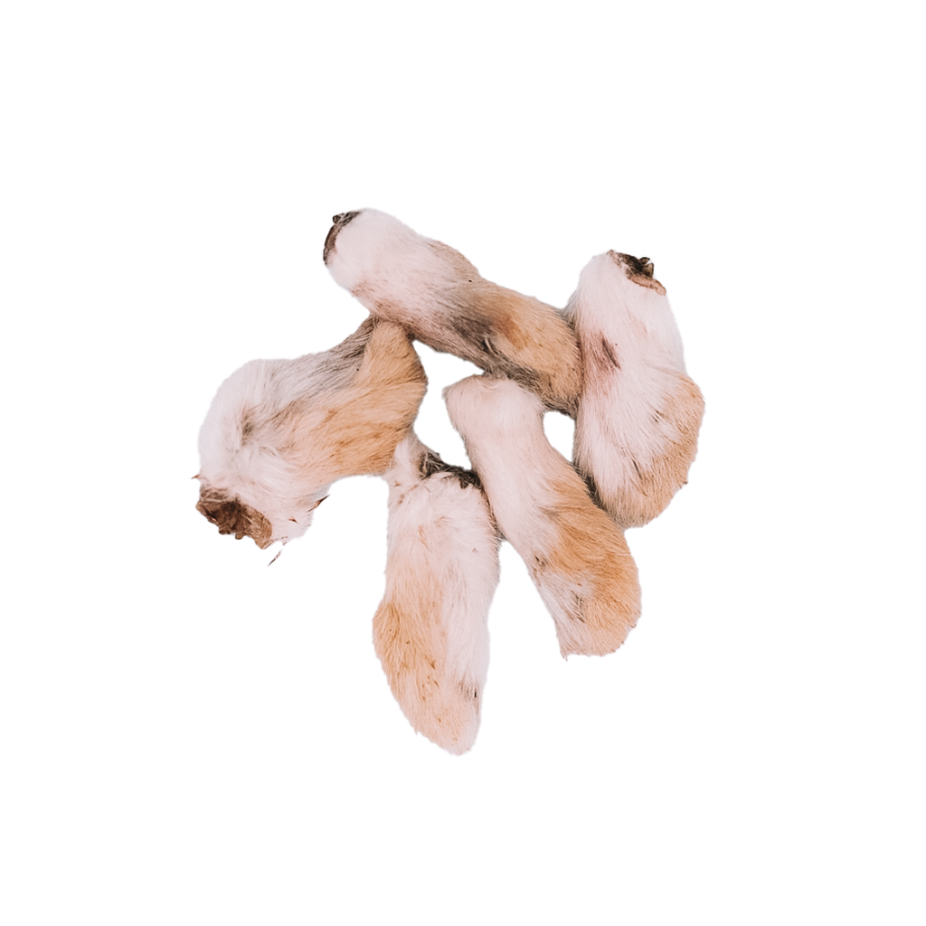 Dehydrated Rabbit Feet