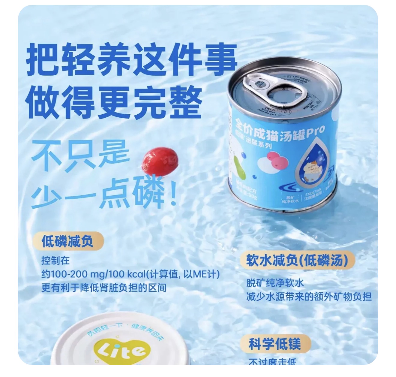HiCubs Low Phosphorus Soup Cans