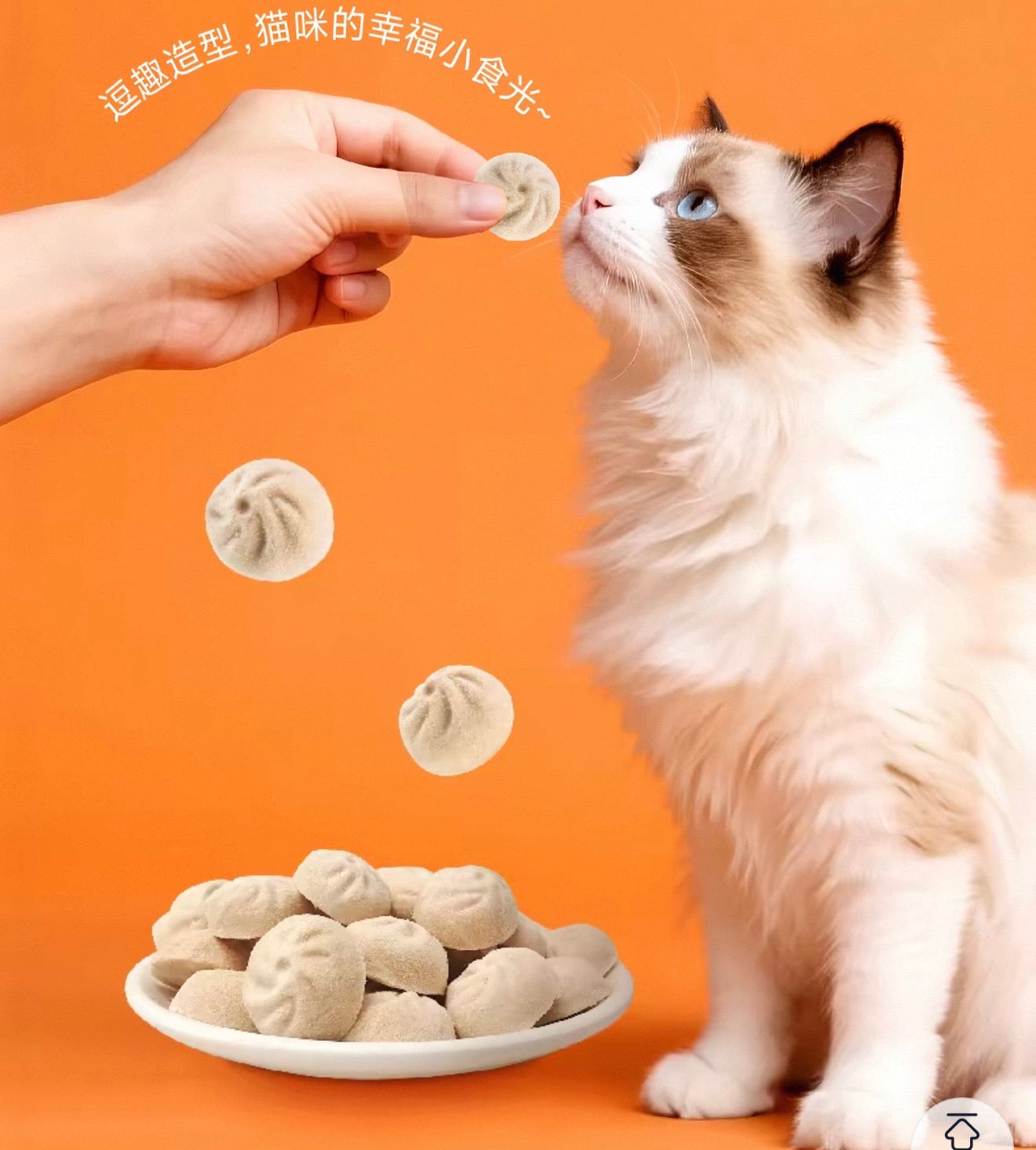 Ranova Chicken Bao Bun Freeze Dried Food and Topper 100g 🐱 🐶