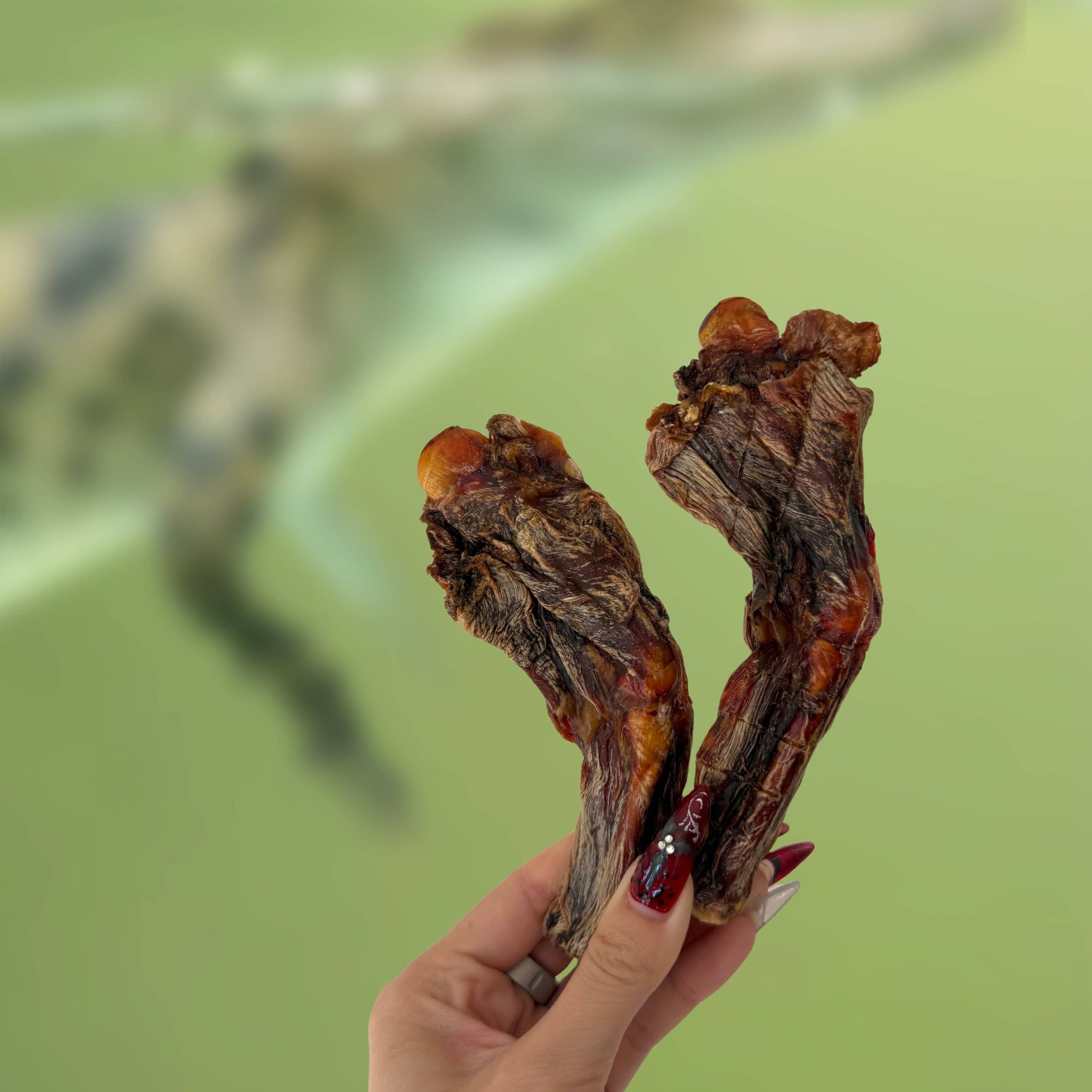 Gator Chews
