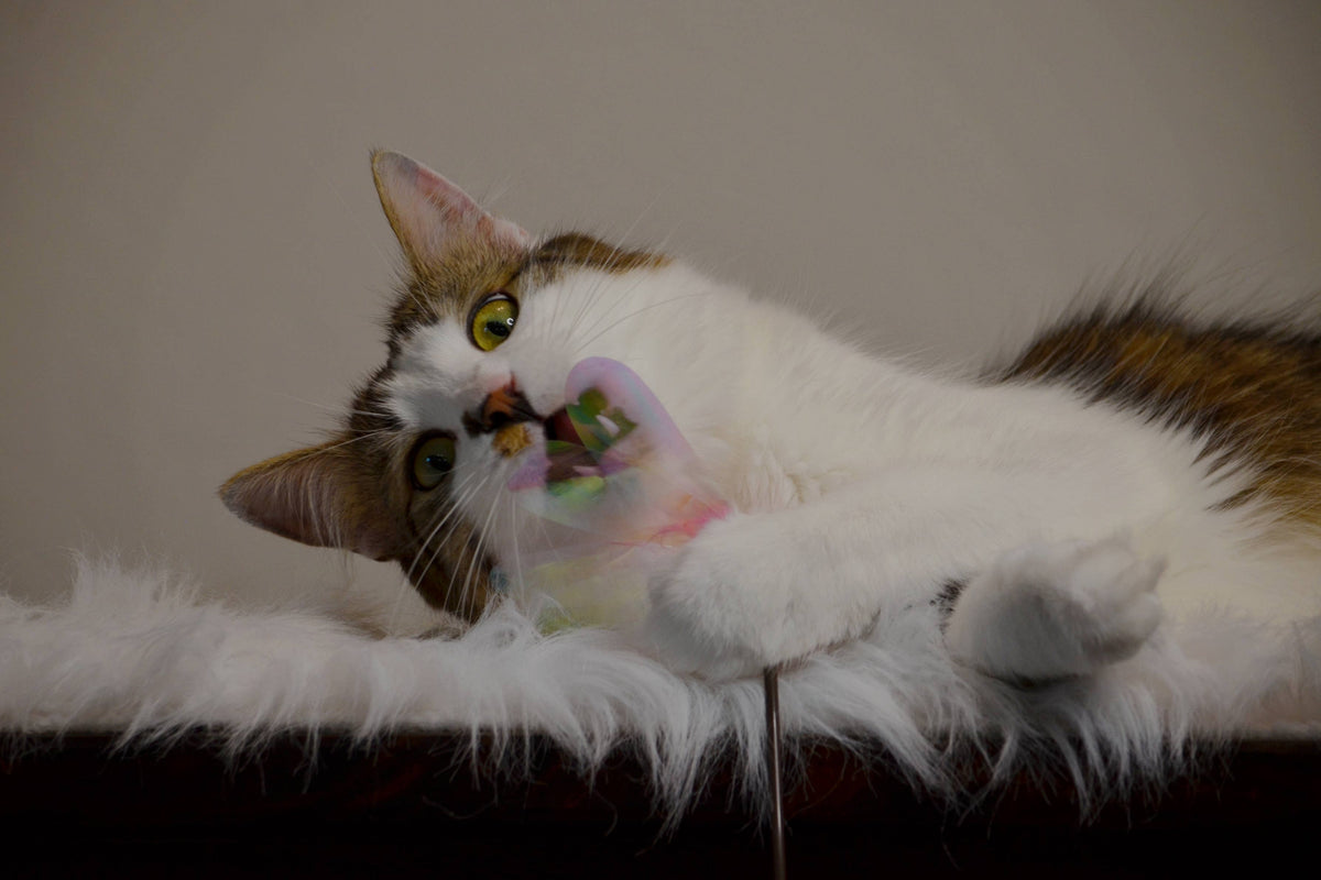 Crinkly Critters Fluttery Fish Cat Wand