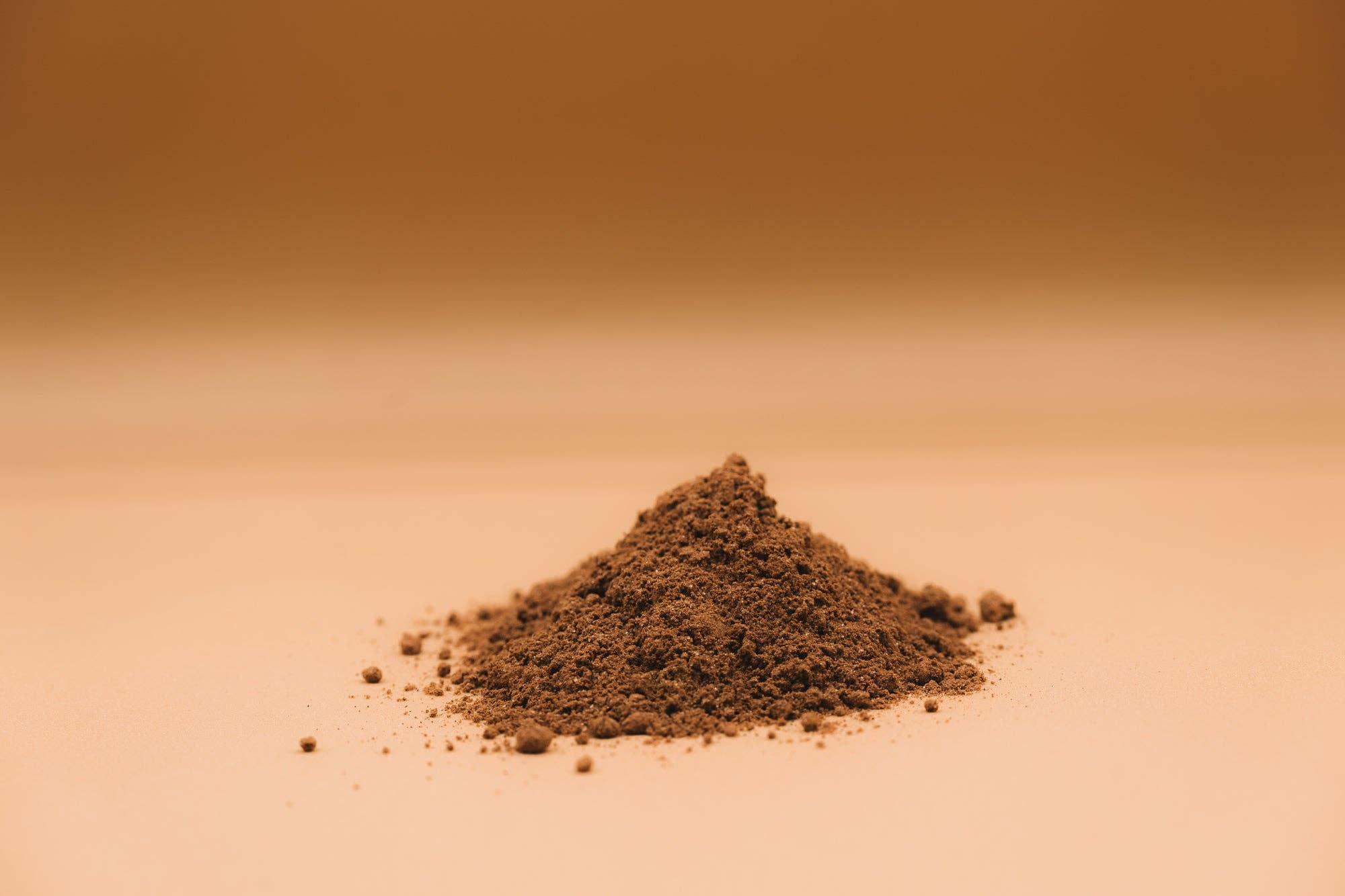 Organic Shroom Boost Supplement | Immune and Cognitive Support