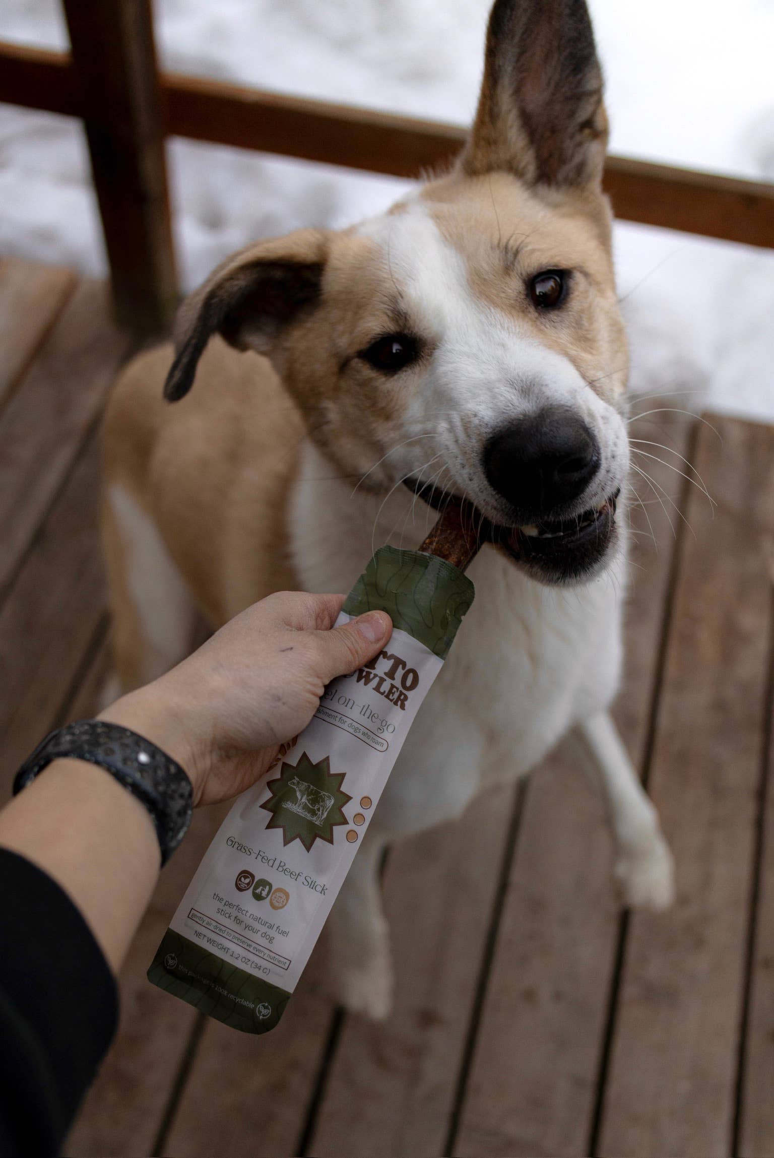 Litto Howler Grass-Fed Beef Stick