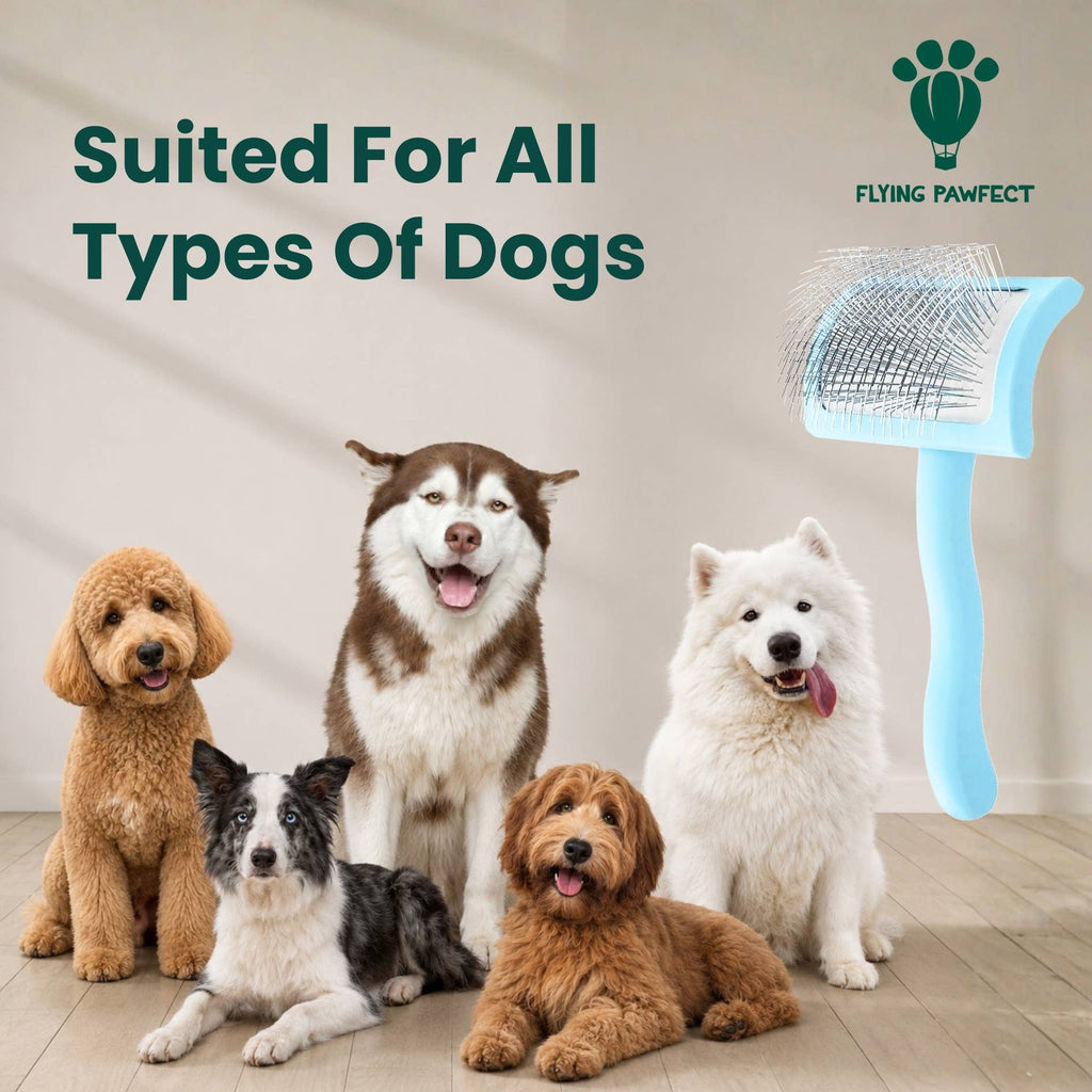 Pet Slicker Brush for Dogs and Cats, Curved Baby Blue Medium
