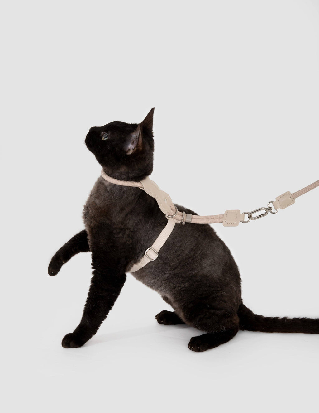 Escape Proof H-Shape Cat Harness and Leash Set Adjustable Ultra Lightweight Rope Walking Harness for Cats up to 17 lbs