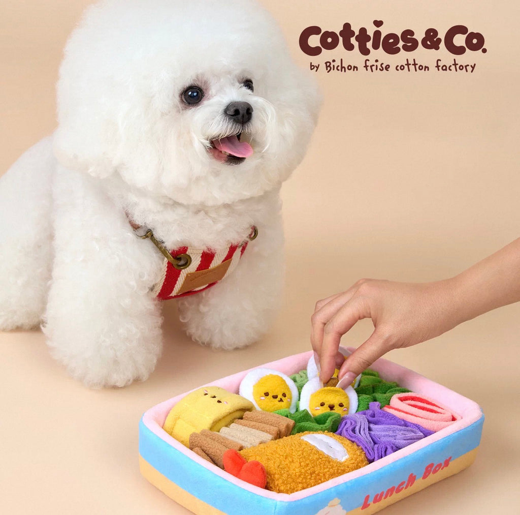 Cotties & Co Lunch Box Snuffle Toy