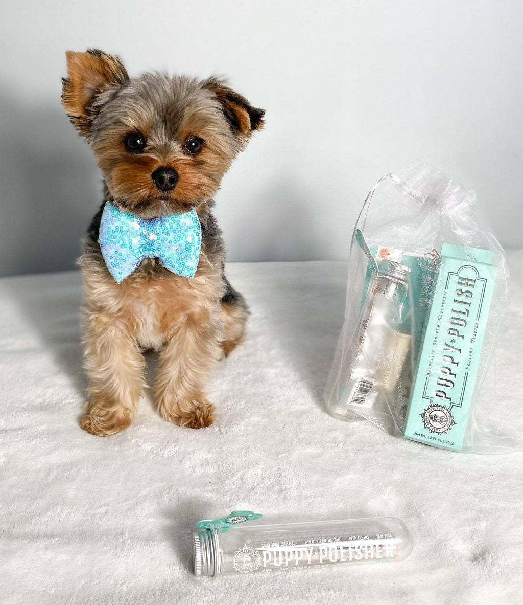 Puppy Polisher Mini Eco Toothbrush - Mini (Small)