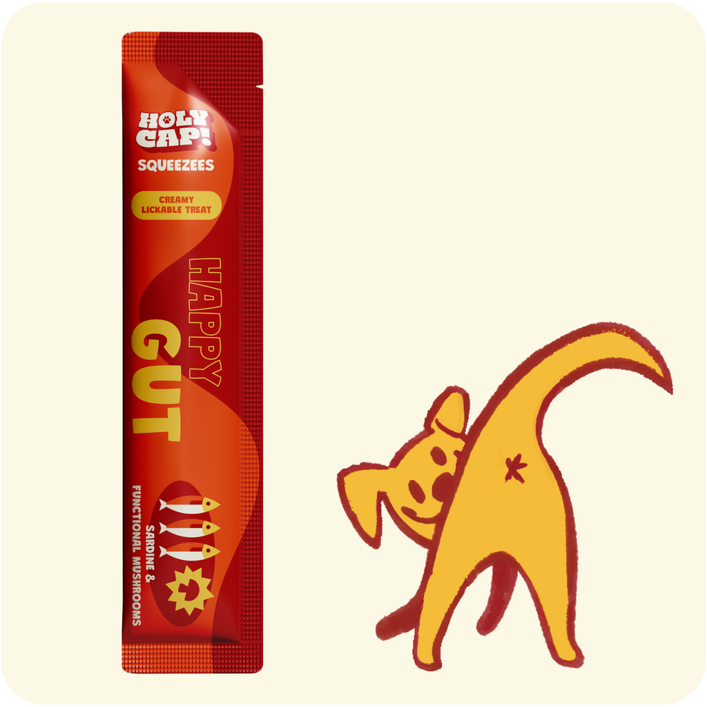 HOLY CAP Squeezees (DOG) Happy Gut Lickable Treats, 5pc