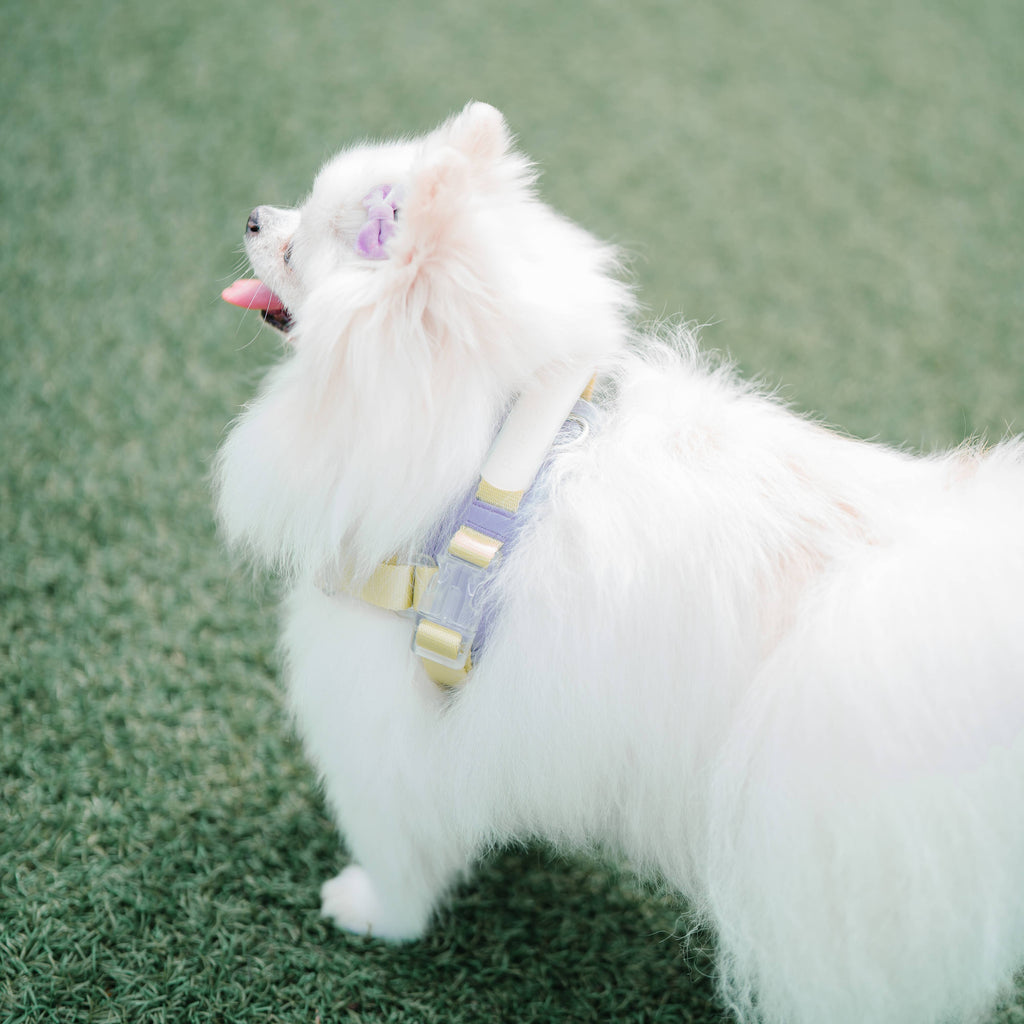 Jelly Harness | Unique Ultra Comfort Fabric