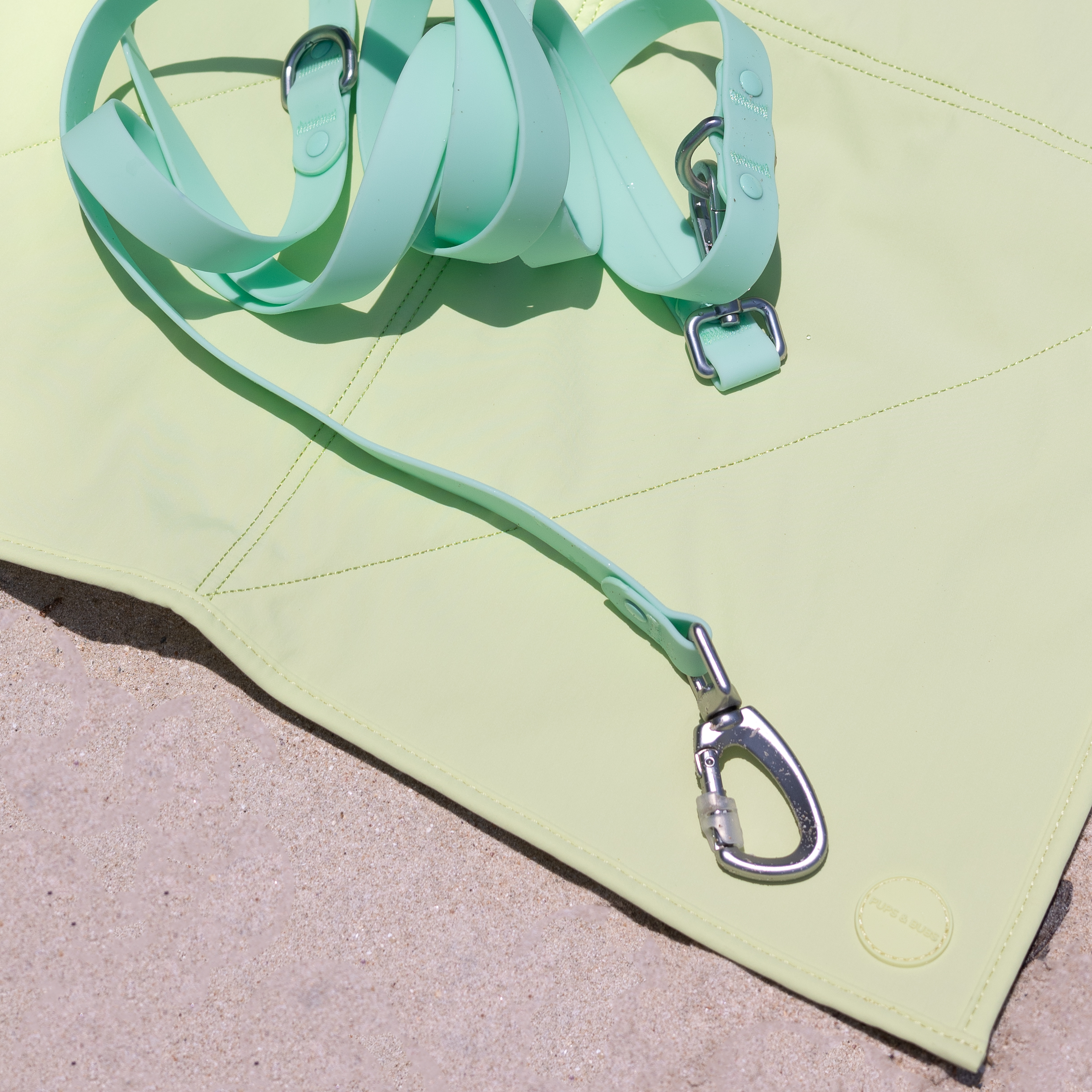 Roam Leash LITE | Matched To Jelly Harness