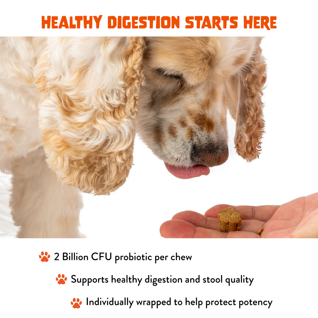 Probiotic+ Soft Chews for Dogs - Digestive Support, Gut Health