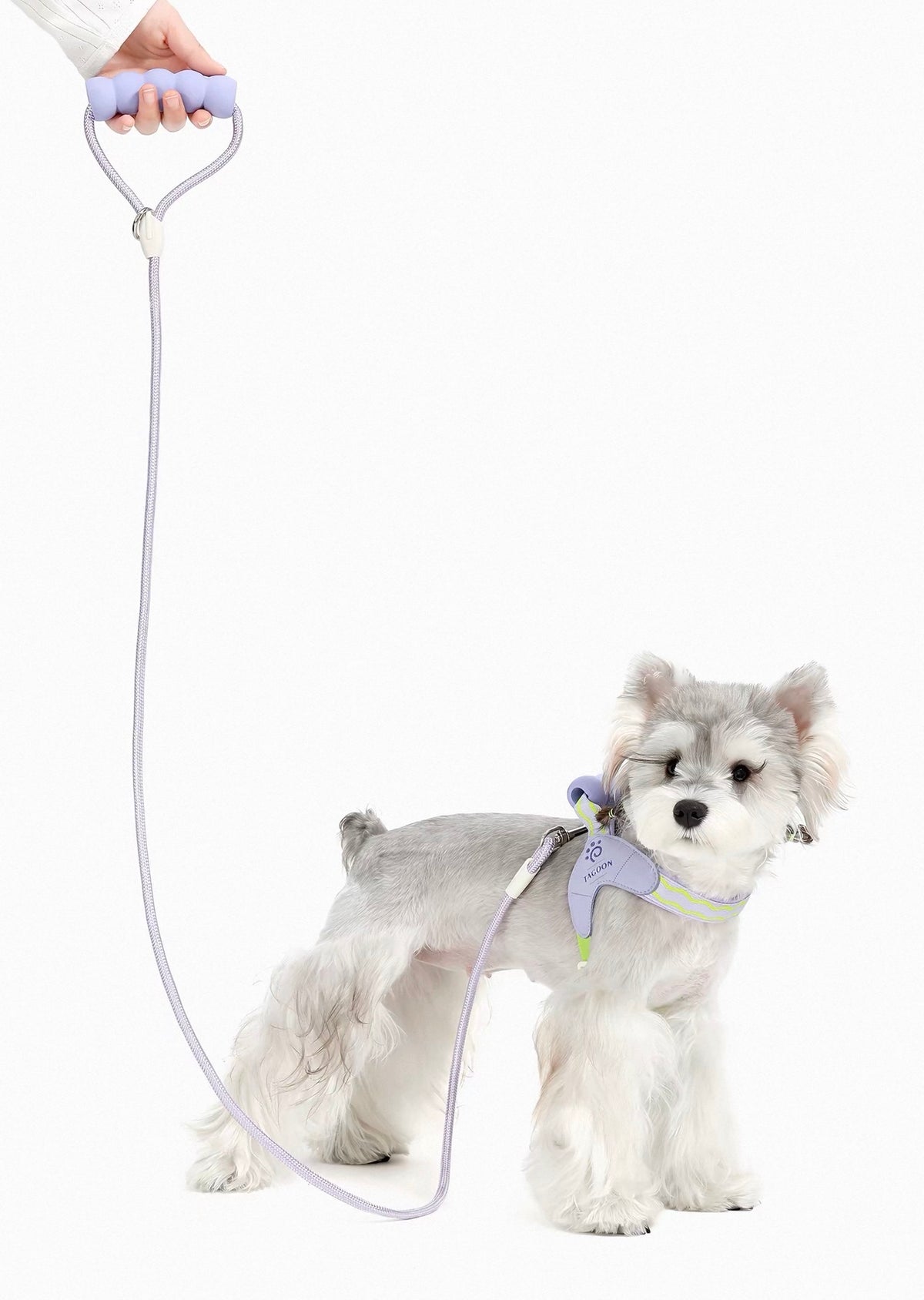 Tagoon Saddle Harness with Leash Set