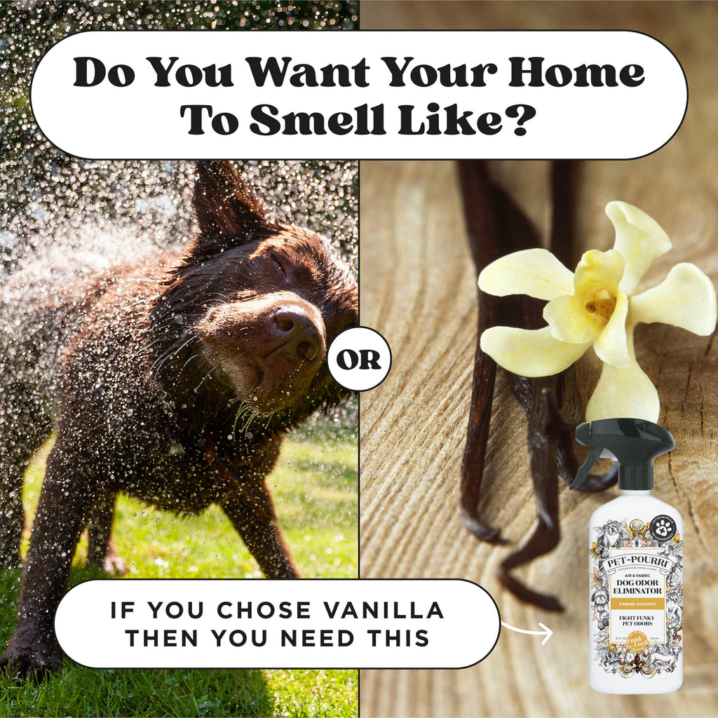 Pet~Pourri Dog Canine Coconut Air + Fabric Odor Refresher