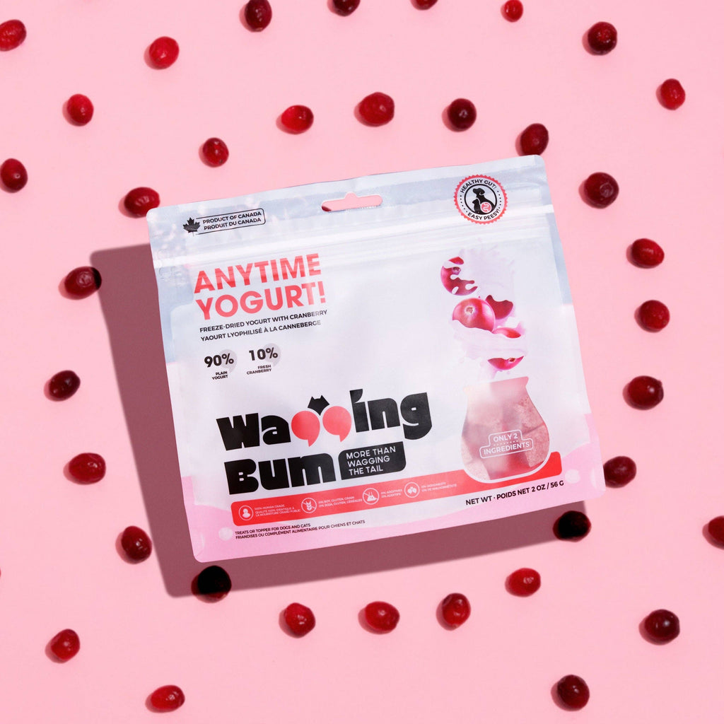 ANYTIME YOGURT! Freeze-dried Greek Yogurt with Cranberry