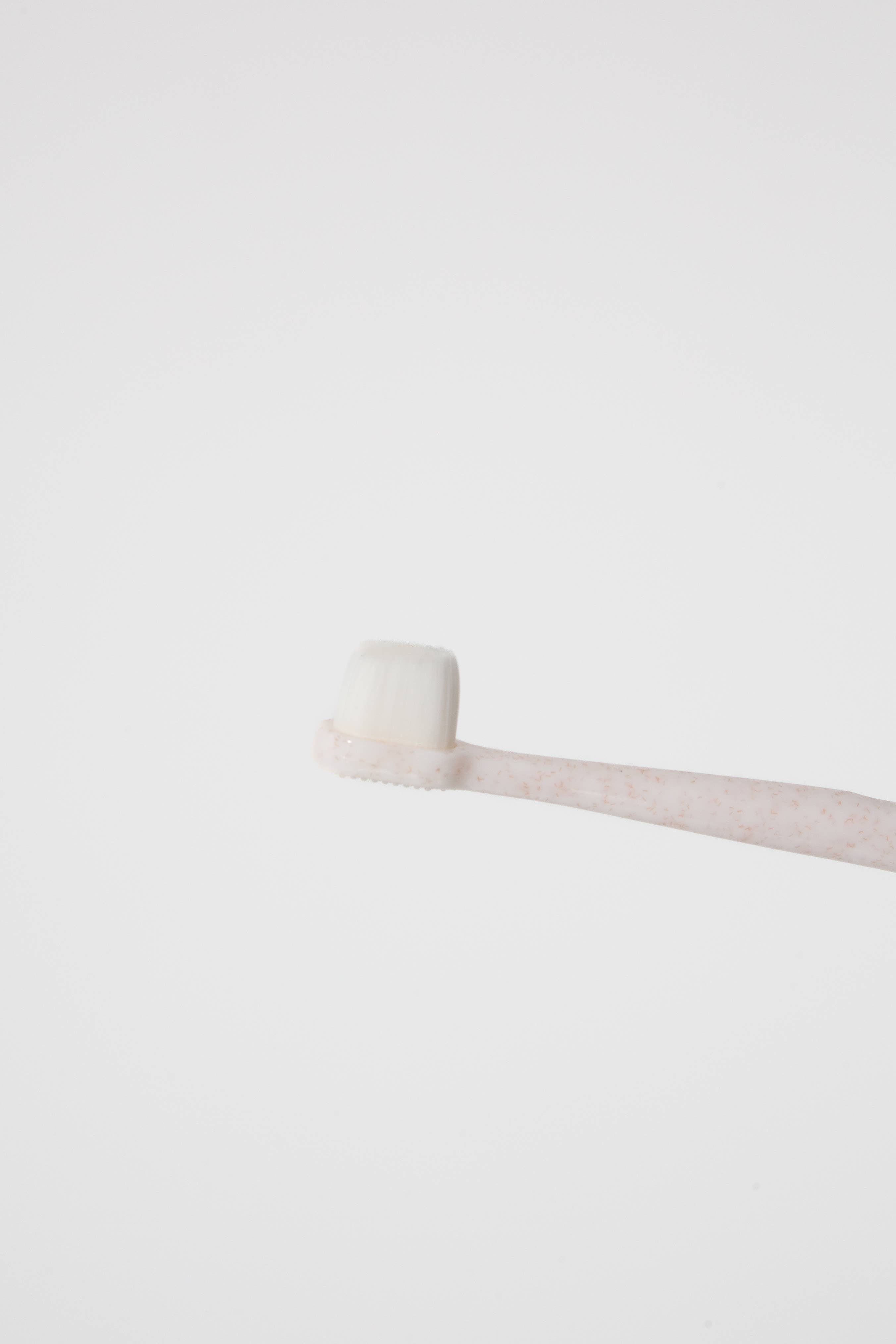 Puppy Polisher Mini Eco Toothbrush - Mini (Small)