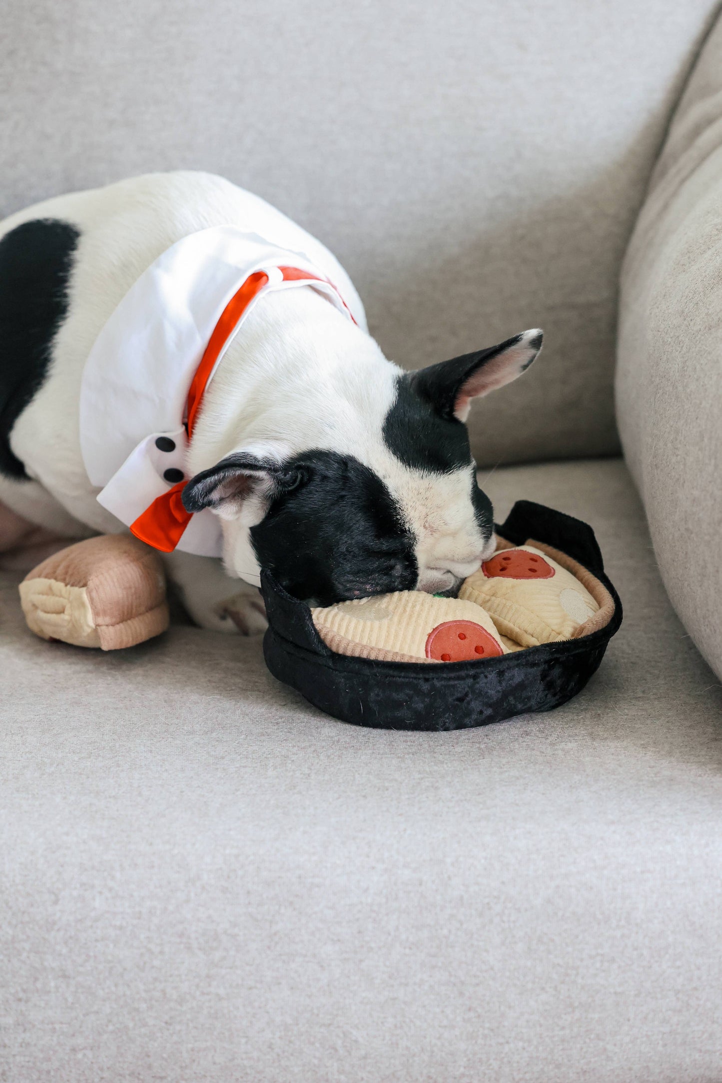 DEEP DISH PIZZA // ENRICHMENT DOG TOY // Squeaky + Snuffle