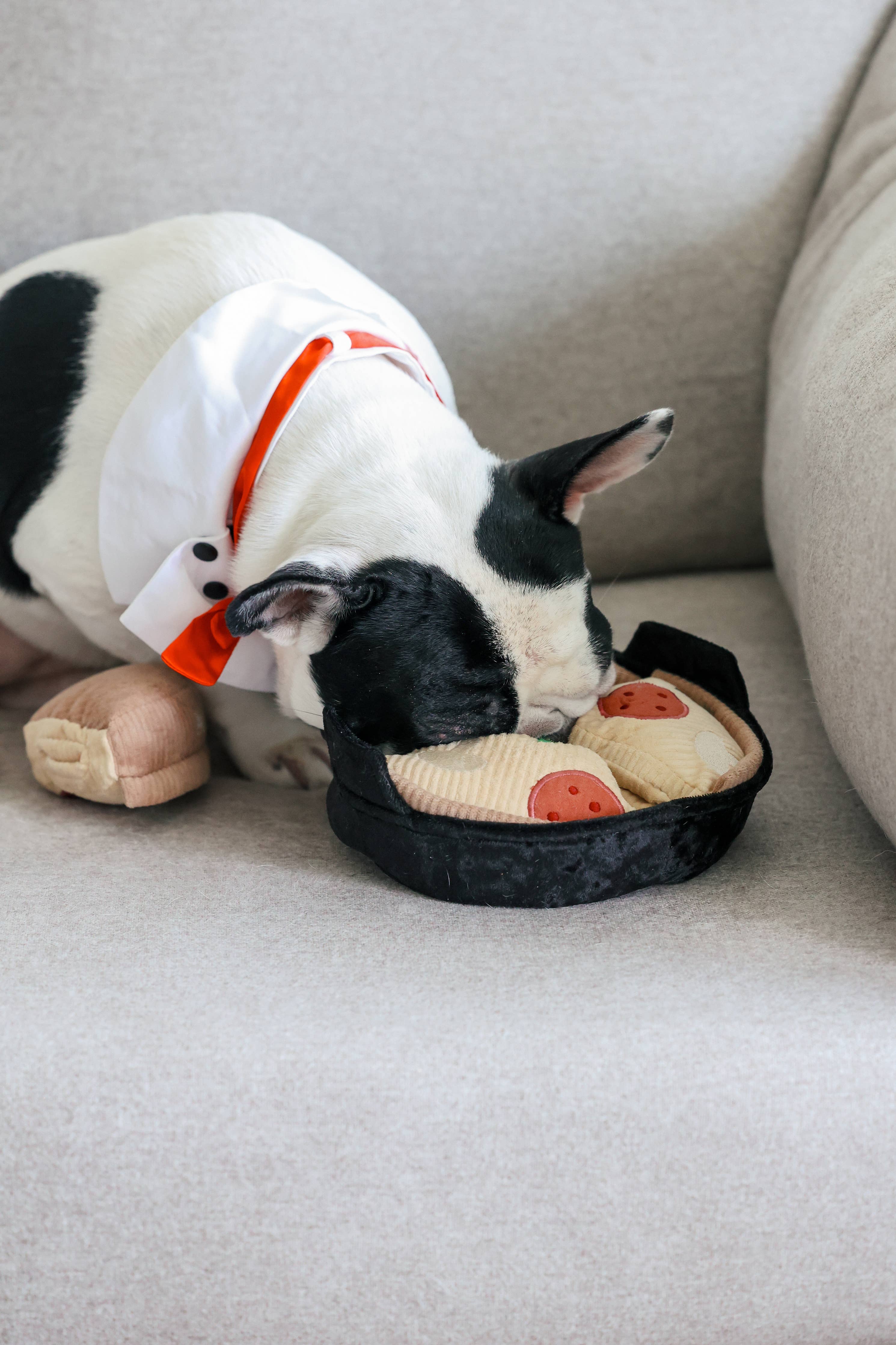 DEEP DISH PIZZA // ENRICHMENT DOG TOY // Squeaky + Snuffle