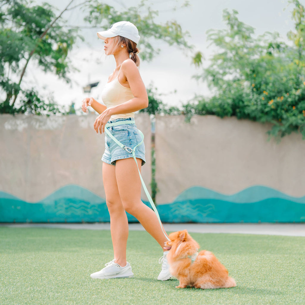 Roam Leash LITE | Matched To Jelly Harness