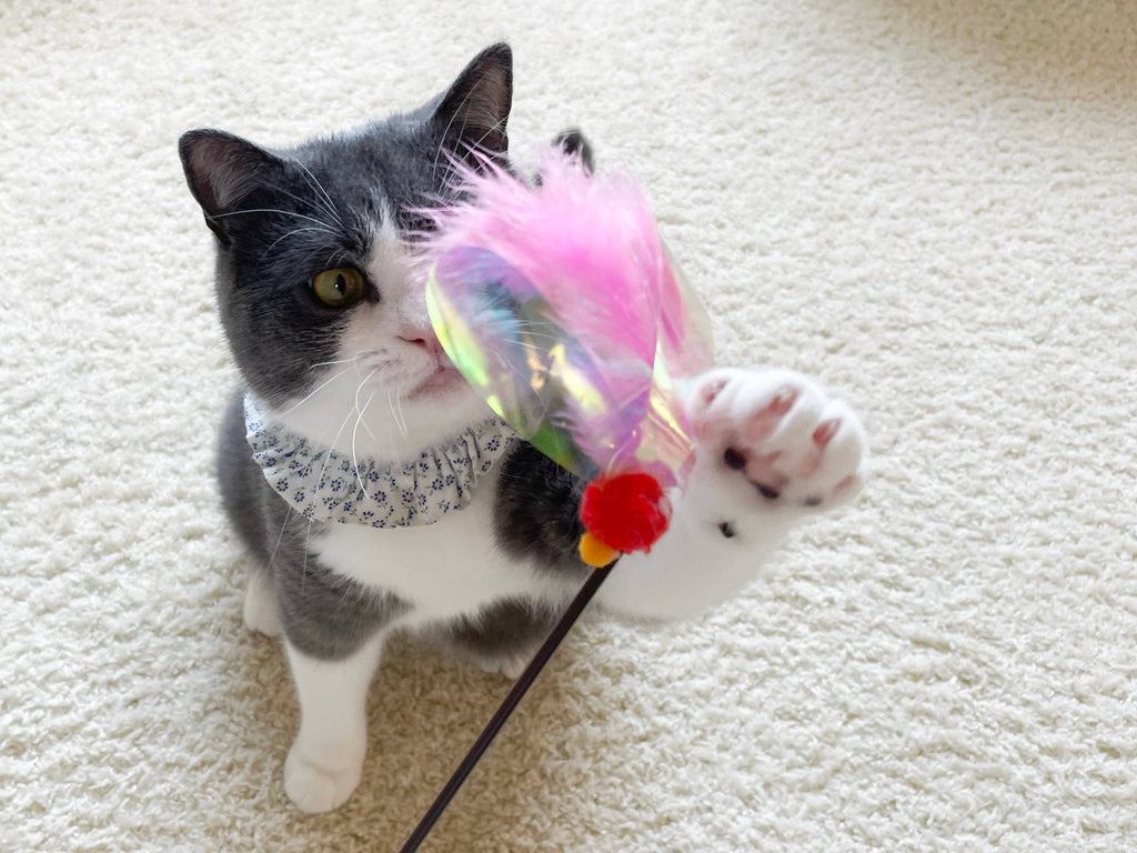 Crinkly Critters Fluttery Fish Cat Wand