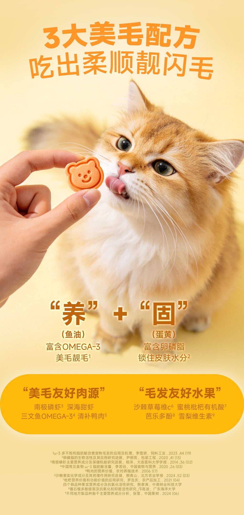 The Cats Travel Bear Grove Cookies🐱 🐶 40g