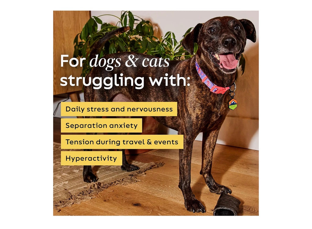 Super Snouts Chill + Out 30 Soft Calming Chews
