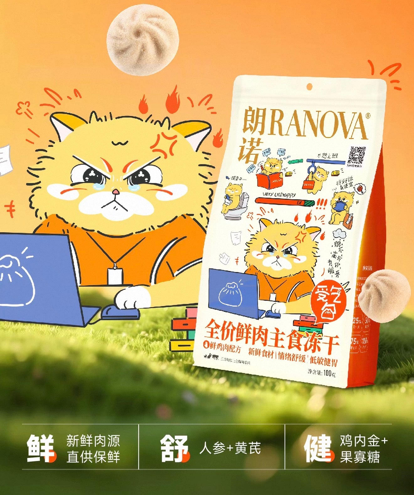 Ranova Chicken Bao Bun Freeze Dried Food and Topper 100g 🐱 🐶