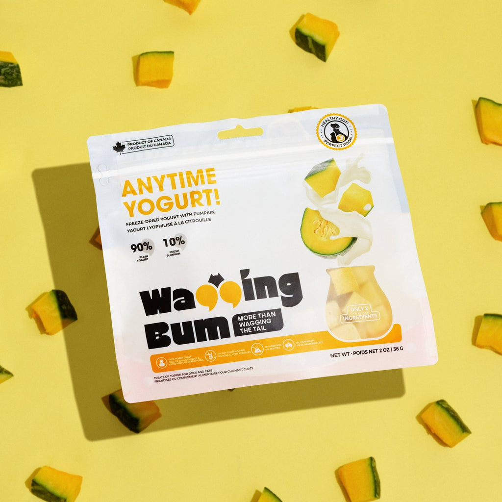 ANYTIME YOGURT! Freeze-dried Greek Yogurt with Pumpkin