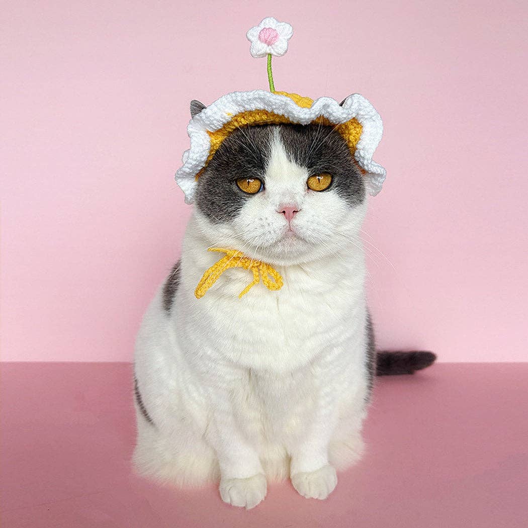 Ozzie - Flower Accent Ruffle Edge Pet Hat